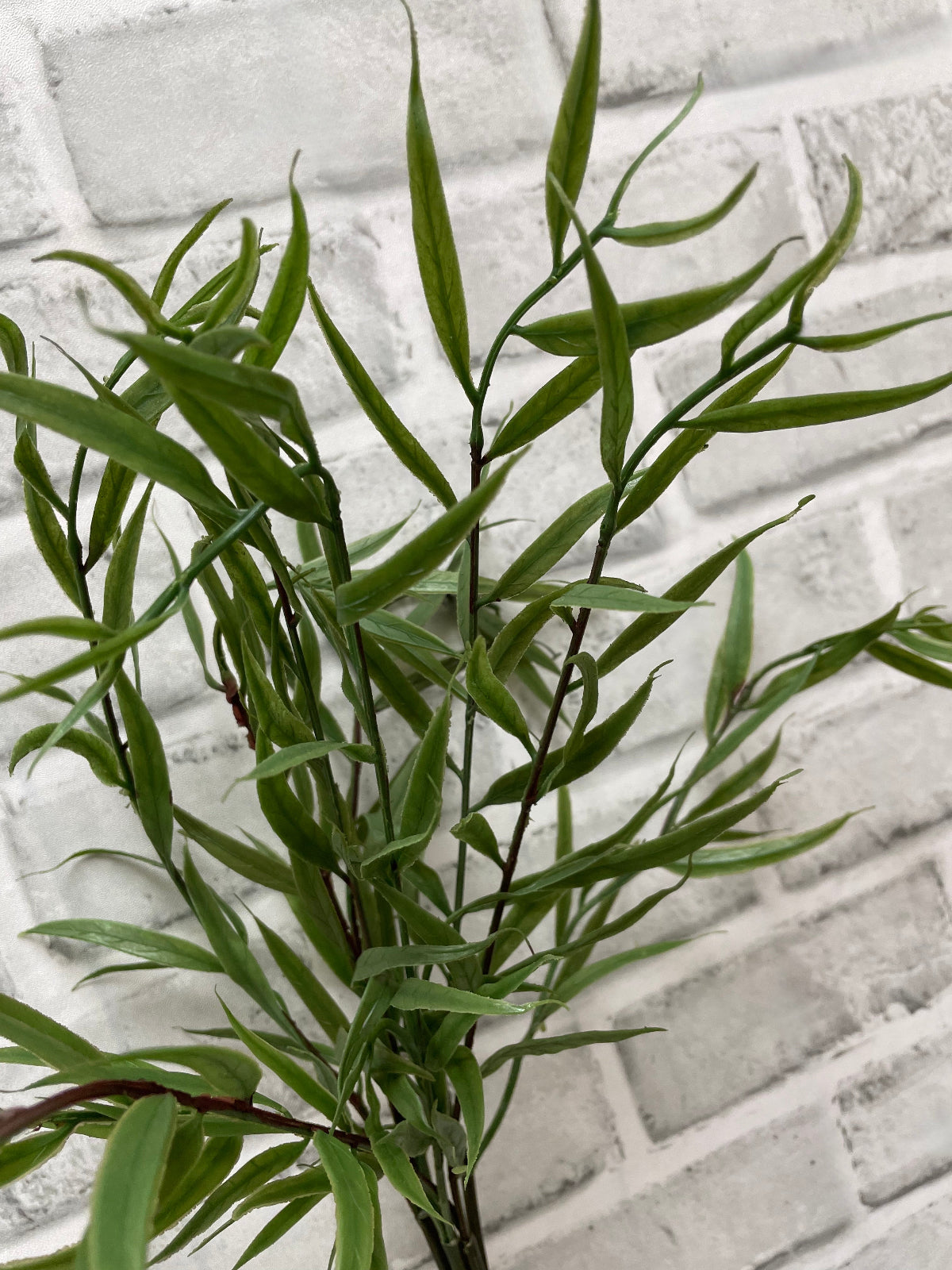 ITEM 11568 - 21" FRESH TOUCH BAMBOO BUNDLE WITH 5 STEMS