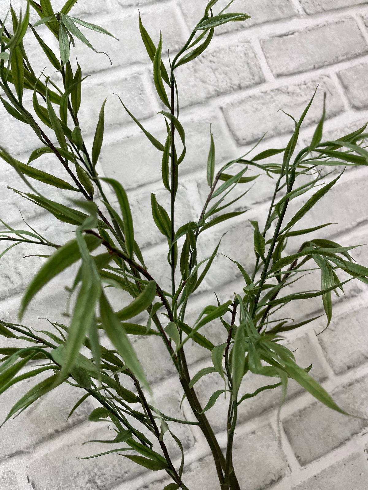 ITEM 11569 - 41" FRESH TOUCH BAMBOO STEM