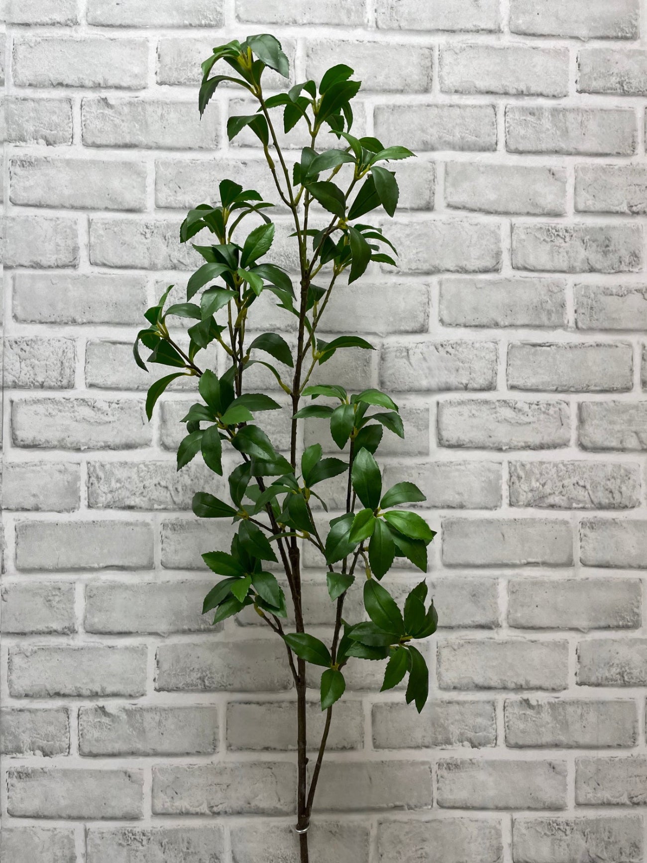 ITEM 11570 - 41.5" FRESH TOUCH MANGROVE LEAF SPRAY