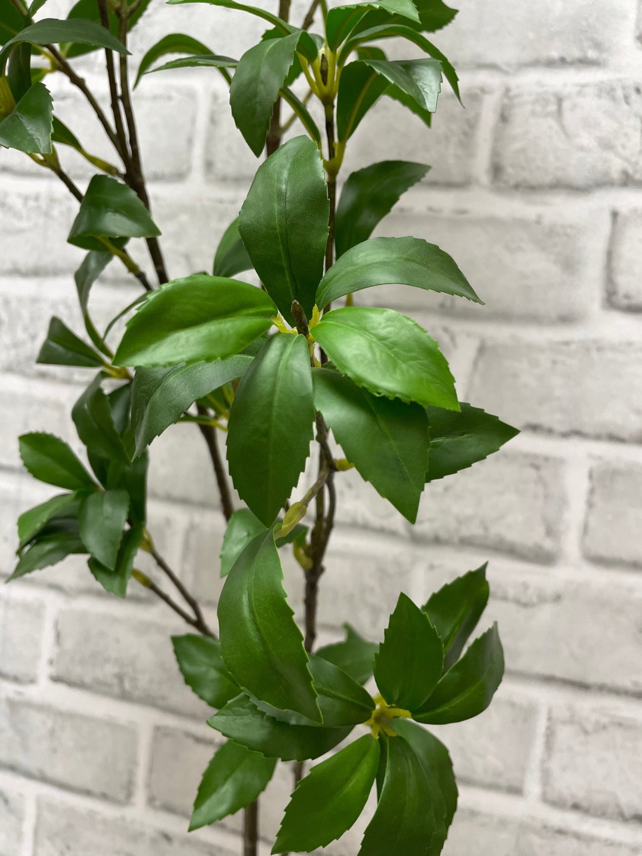 ITEM 11570 - 41.5" FRESH TOUCH MANGROVE LEAF SPRAY