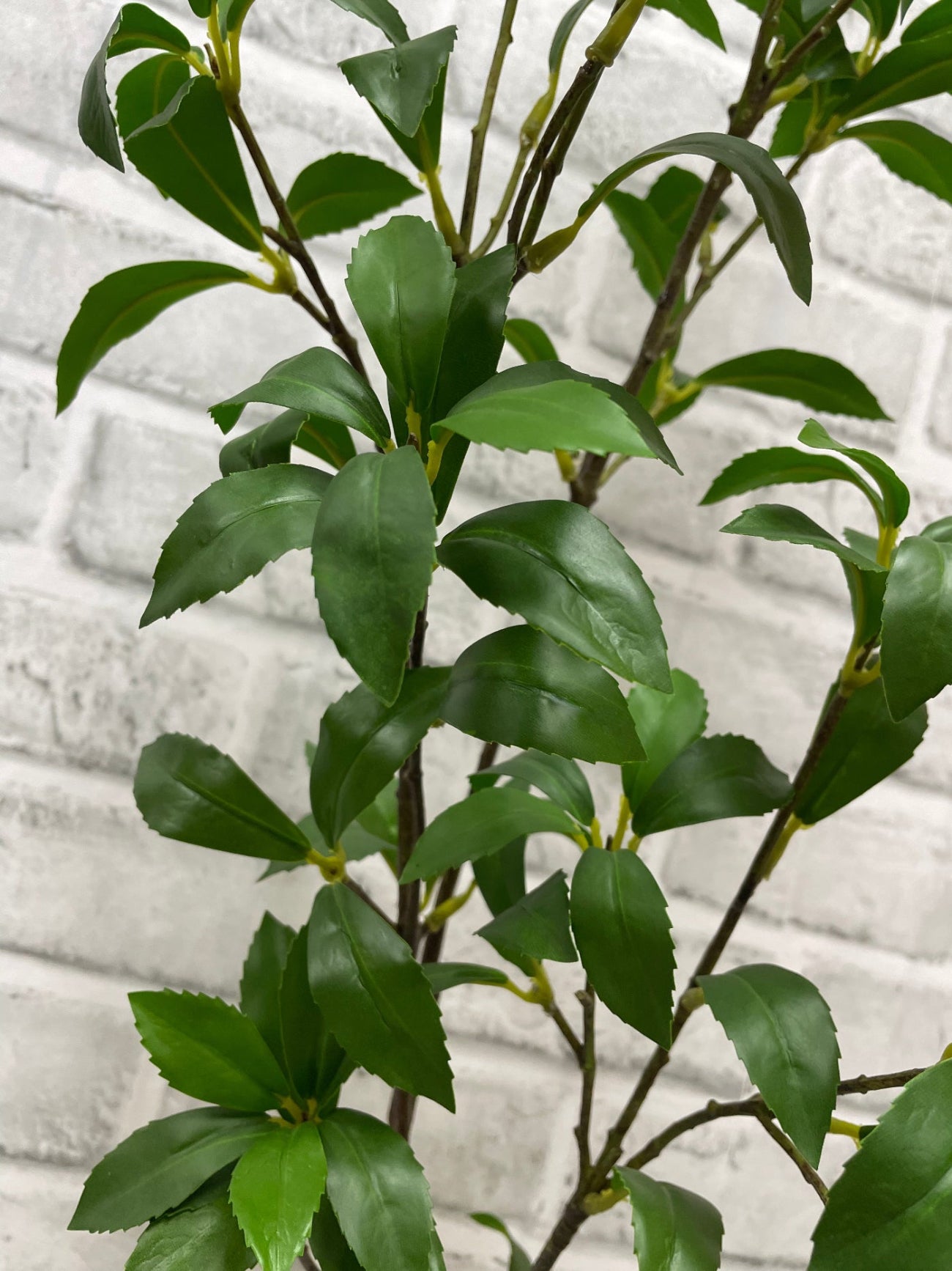 ITEM 11570 - 41.5" FRESH TOUCH MANGROVE LEAF SPRAY