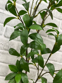 ITEM 11570 - 41.5" FRESH TOUCH MANGROVE LEAF SPRAY