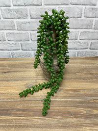 ITEM 11571 GR - 18" FRESH TOUCH GREEN JELLY BEAN SUCCULENT STEM WITH 6 VINES