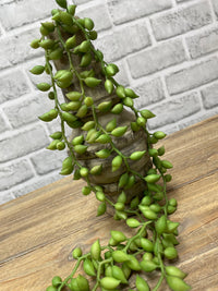 ITEM 11572 GR - 26" FRESH TOUCH  GREEN STRING OF RAINDROPS SUCCULENT WITH 3 VINES