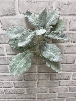 ITEM 11575 - 17" DUSTY MILLER SPRAY