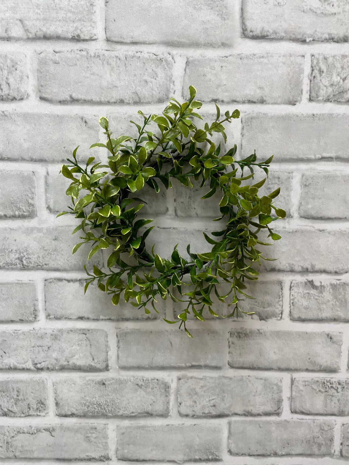 ITEM 11580 - 4" INSIDE DIM, 9" OUTSIDE DIM GOLDEN EUONYMUS CANDLE RING