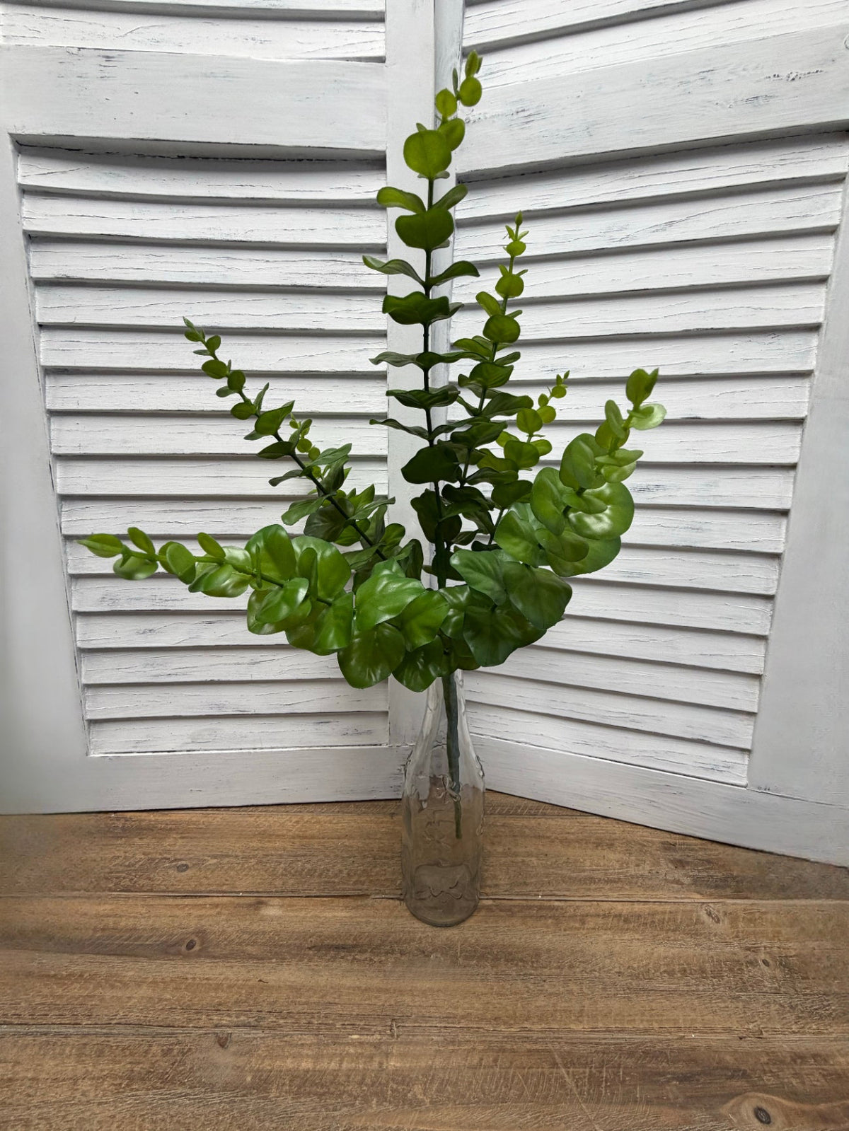 ITEM 11582 - 22.5" EUCLAYPTUS BUSH