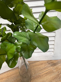 ITEM 11582 - 22.5" EUCLAYPTUS BUSH
