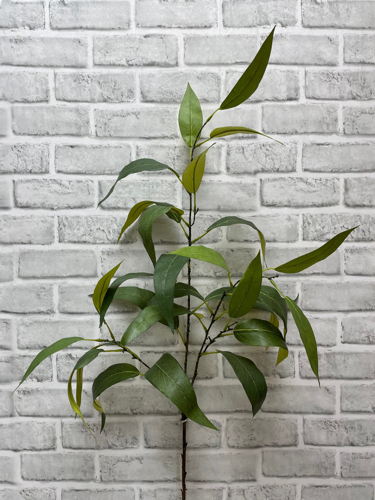 ITEM 11583 - 45" GREEN GLOBULUS EUCALYPTUS SPRAY