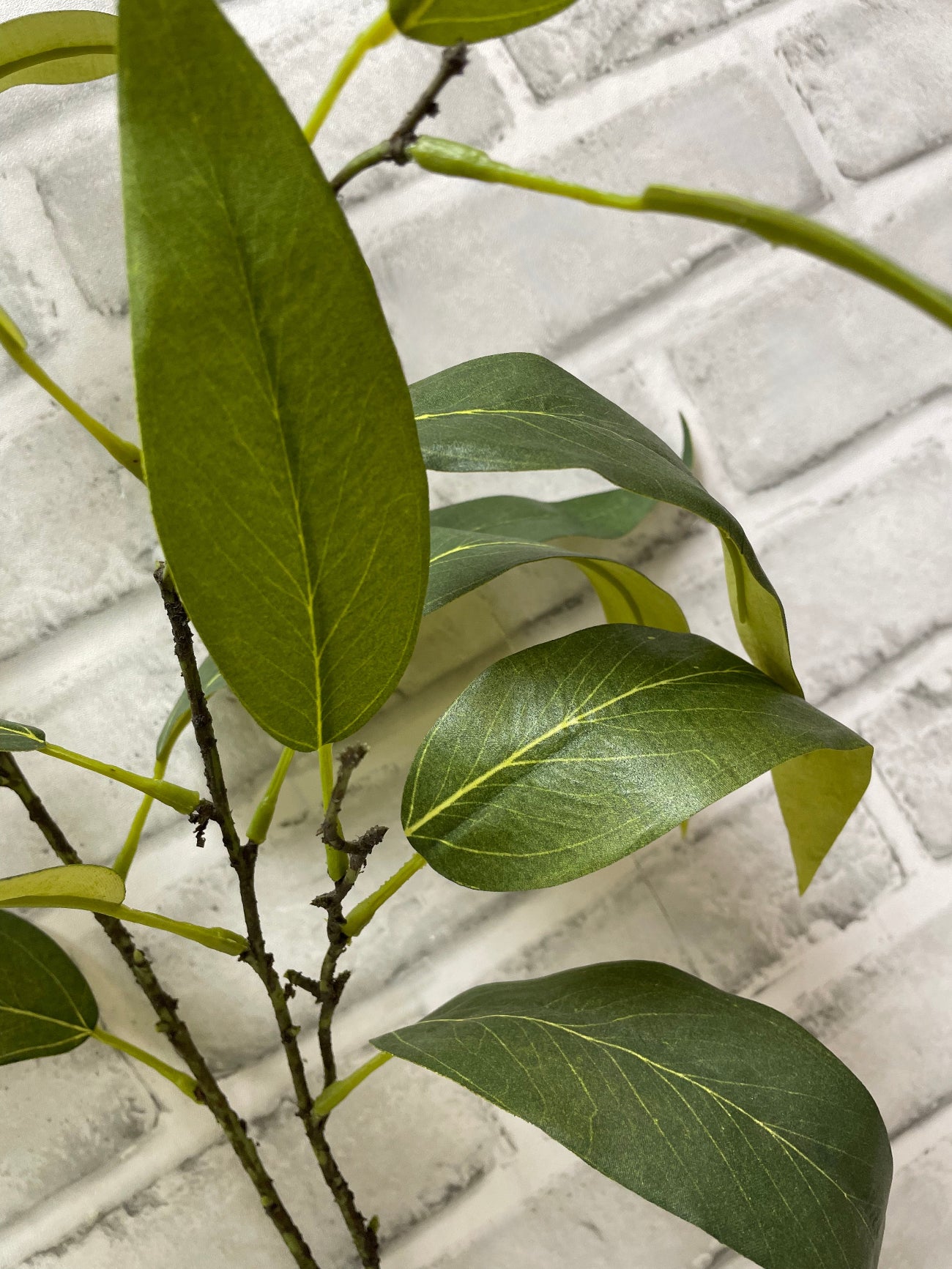 ITEM 11583 - 45" GREEN GLOBULUS EUCALYPTUS SPRAY