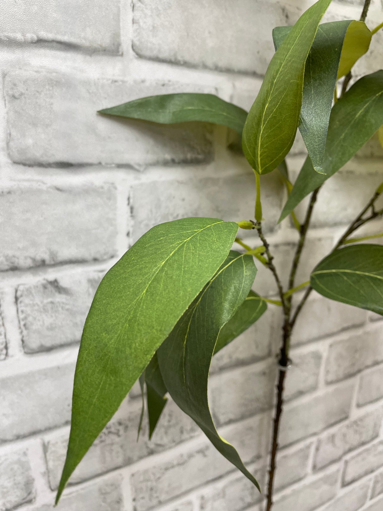 ITEM 11583 - 45" GREEN GLOBULUS EUCALYPTUS SPRAY