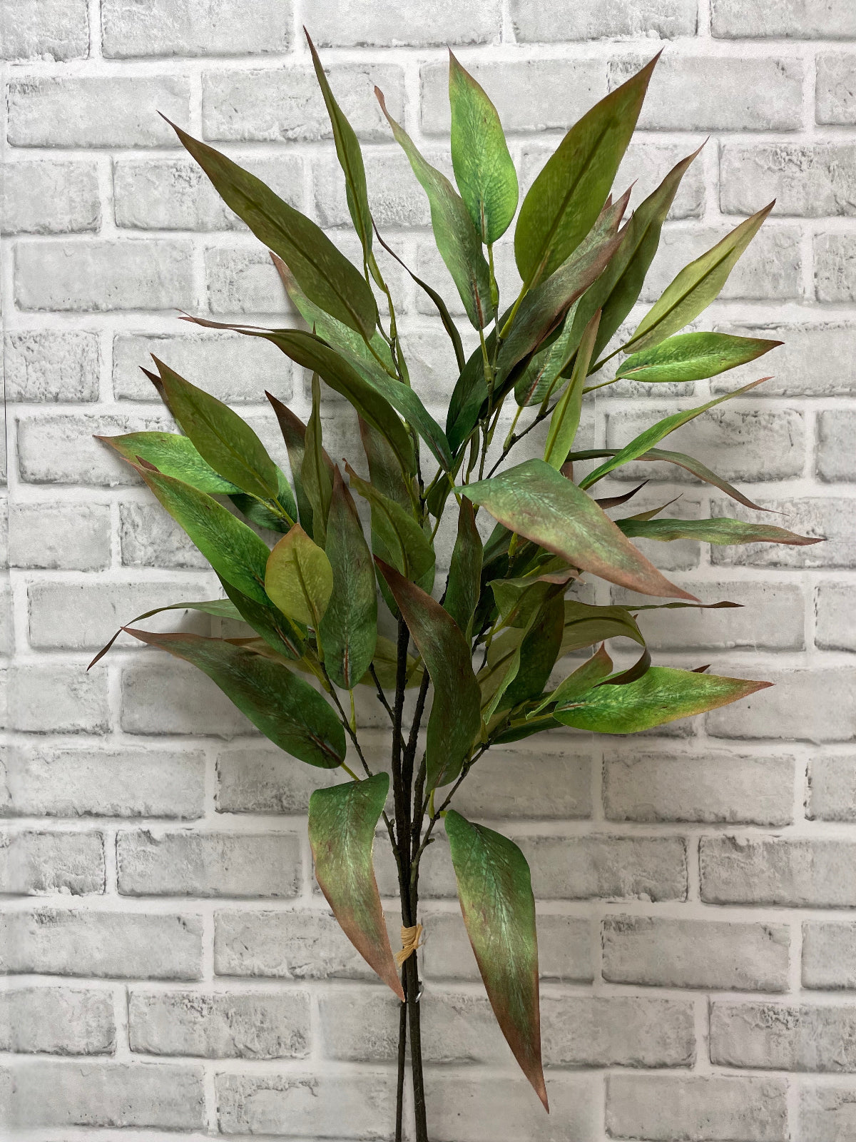 ITEM 11584 - 31" GREEN BURGUNDY  GLOBULUS EUCALYPTUS BUNDLE WITH 3 STEMS