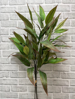 ITEM 11584 - 31" GREEN BURGUNDY  GLOBULUS EUCALYPTUS BUNDLE WITH 3 STEMS