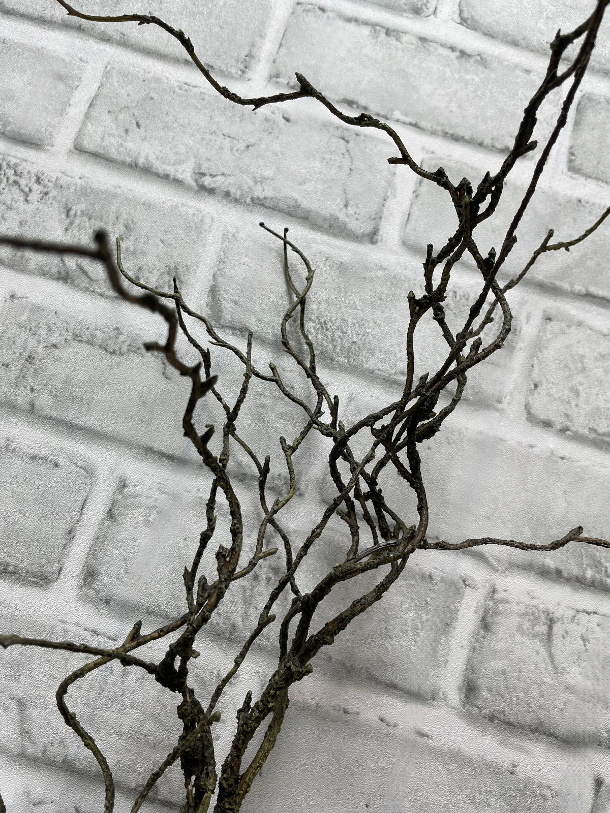 ITEM 11585 - 49" TWIG BRANCH