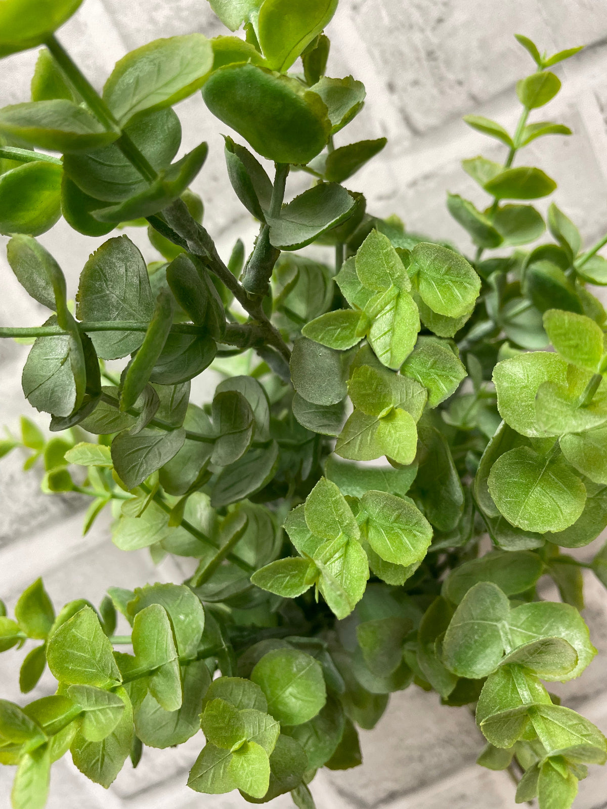 ITEM 11595 GR - 13" GREEN EUCALYPTUS BUNDLE WITH 3 STEMS