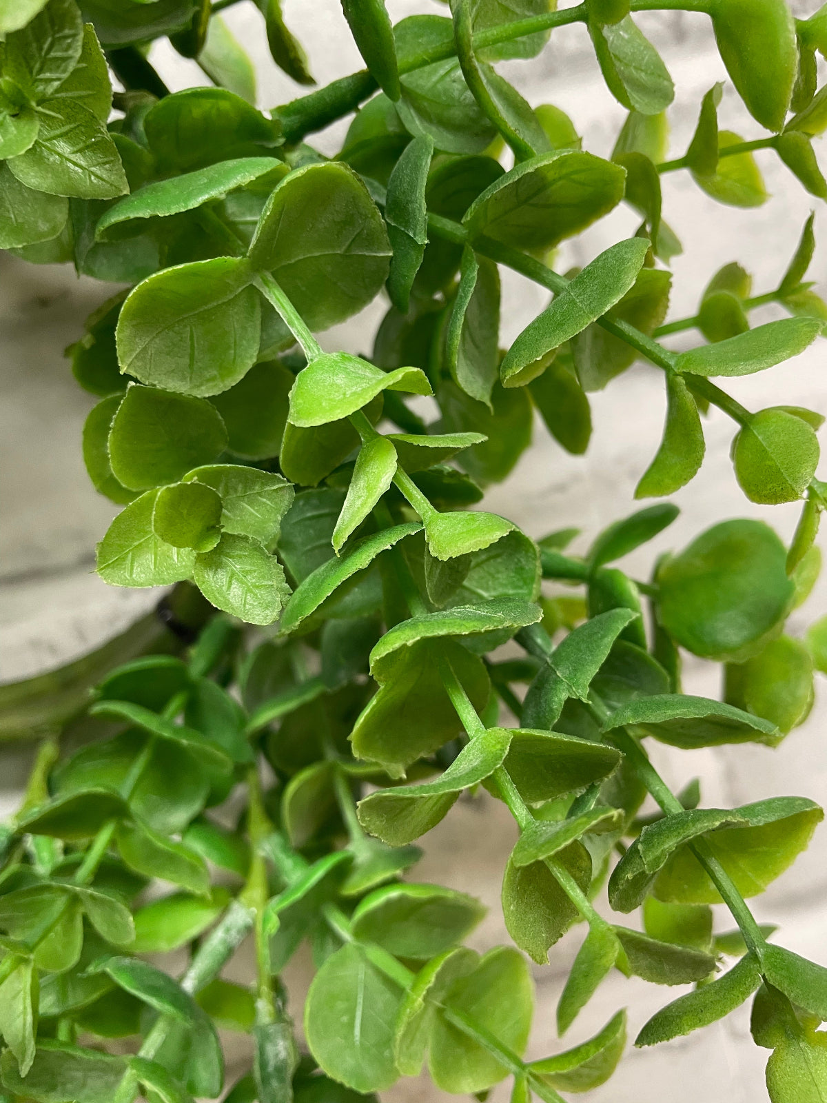 ITEM 11596 GR - 4" INSIDE DIM, 13" OUTSIDE DIM GREEN EUCALYPTUS CANDLE RING/WREATH