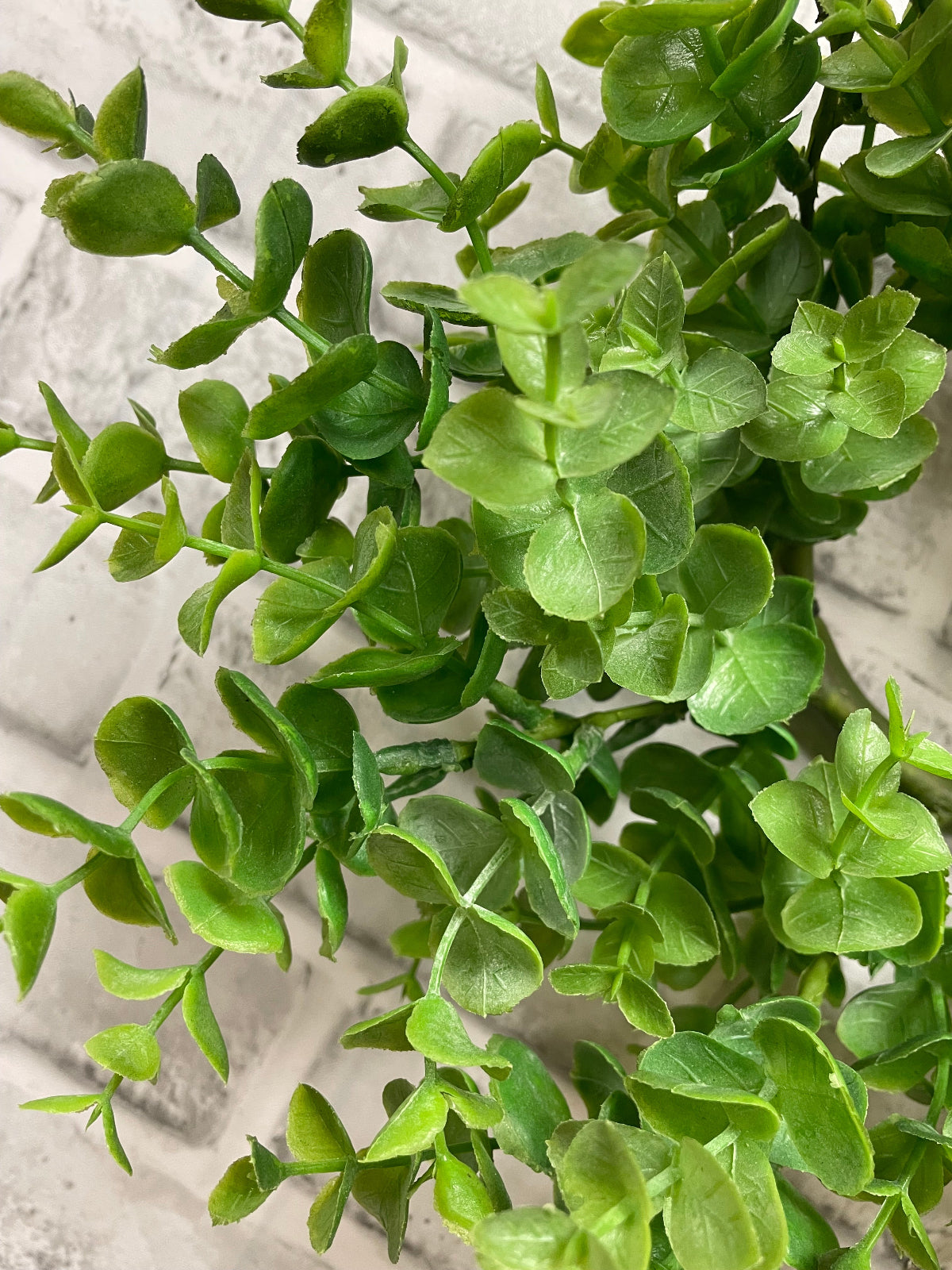 ITEM 11596 GR - 4" INSIDE DIM, 13" OUTSIDE DIM GREEN EUCALYPTUS CANDLE RING/WREATH