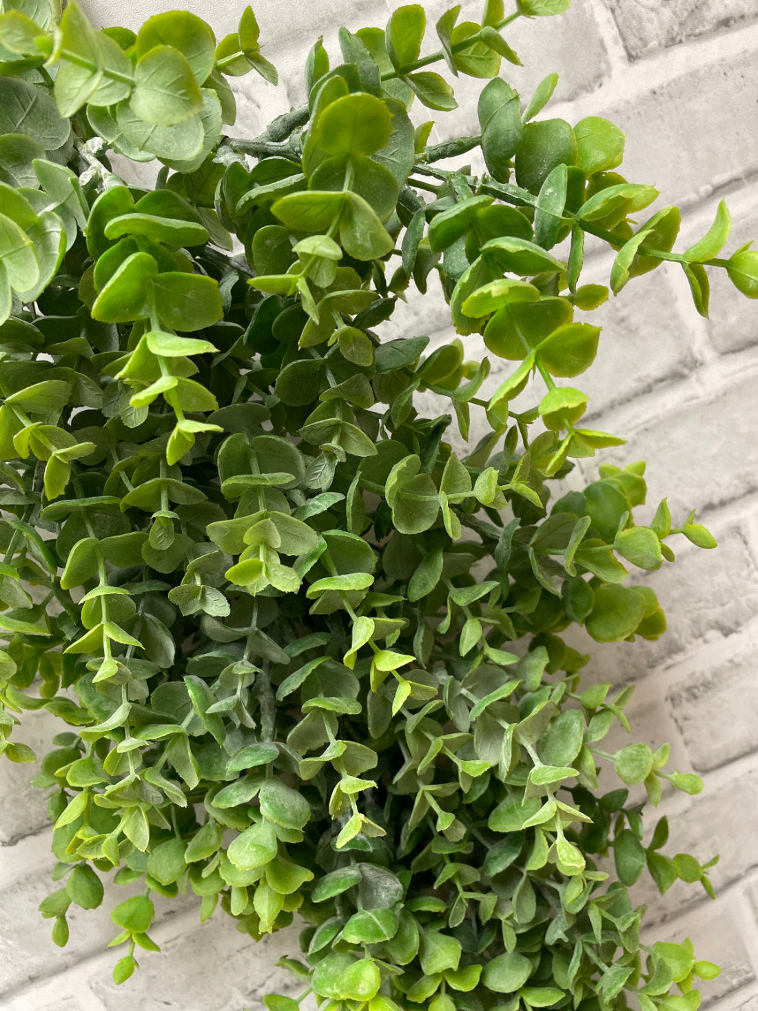 ITEM 11598 GR- 48" GREENEUCALYPTUS GARLAND