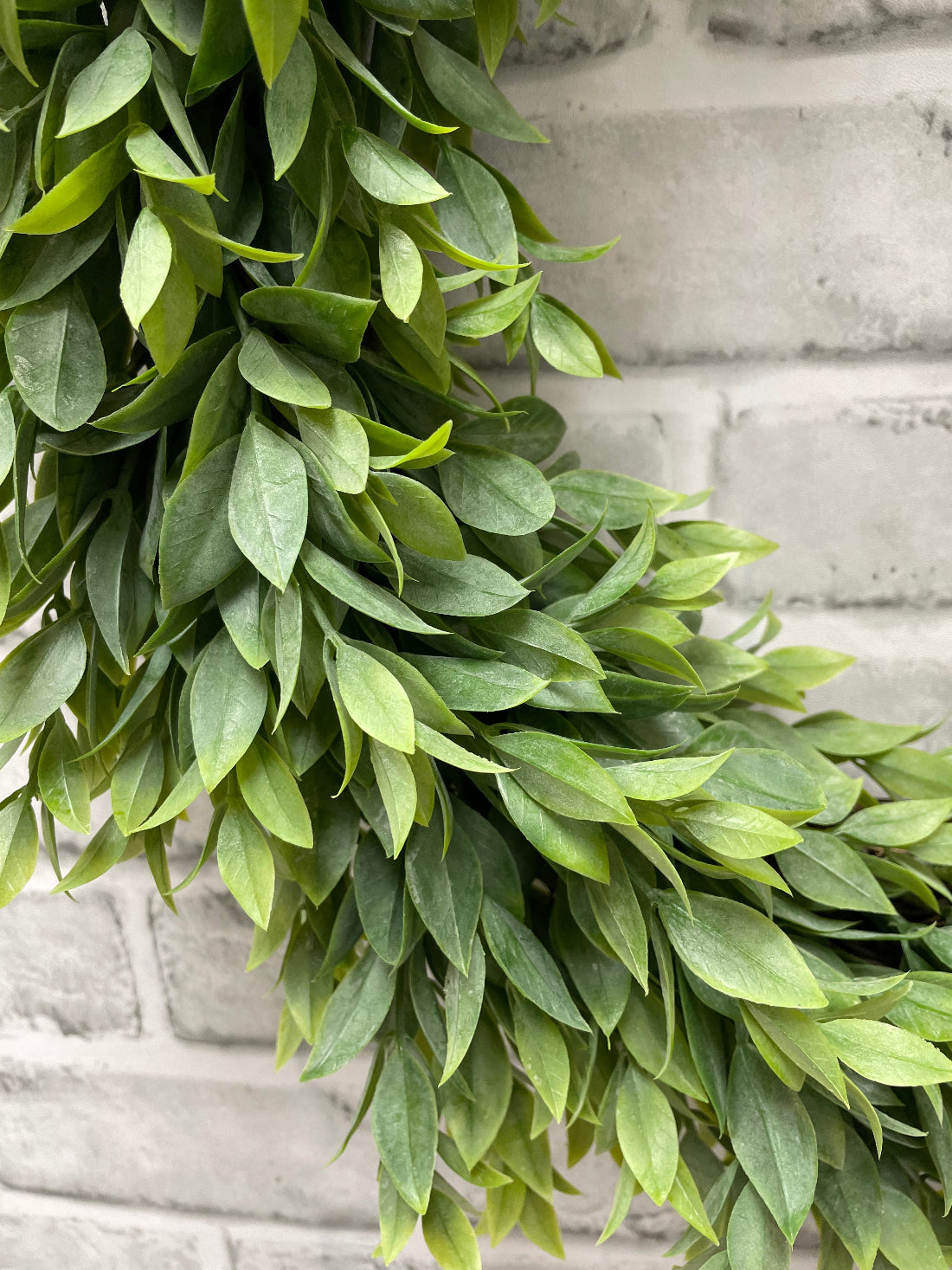 ITEM 11602 - 12" INSDIE DIM, 20" OUTSIDE DIM RUSCUS WREATH