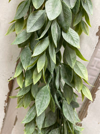 ITEM 11603 - 72" RUSCUS GARLAND