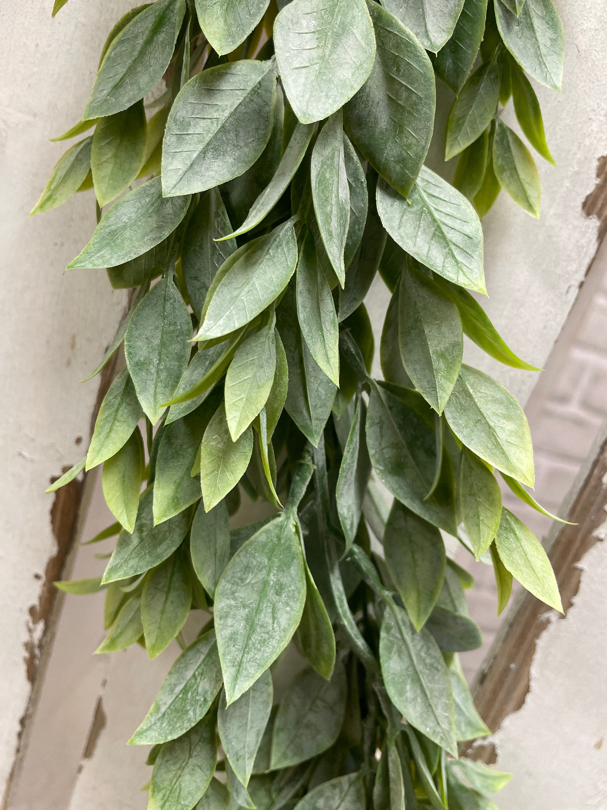 ITEM 11603 - 72" RUSCUS GARLAND