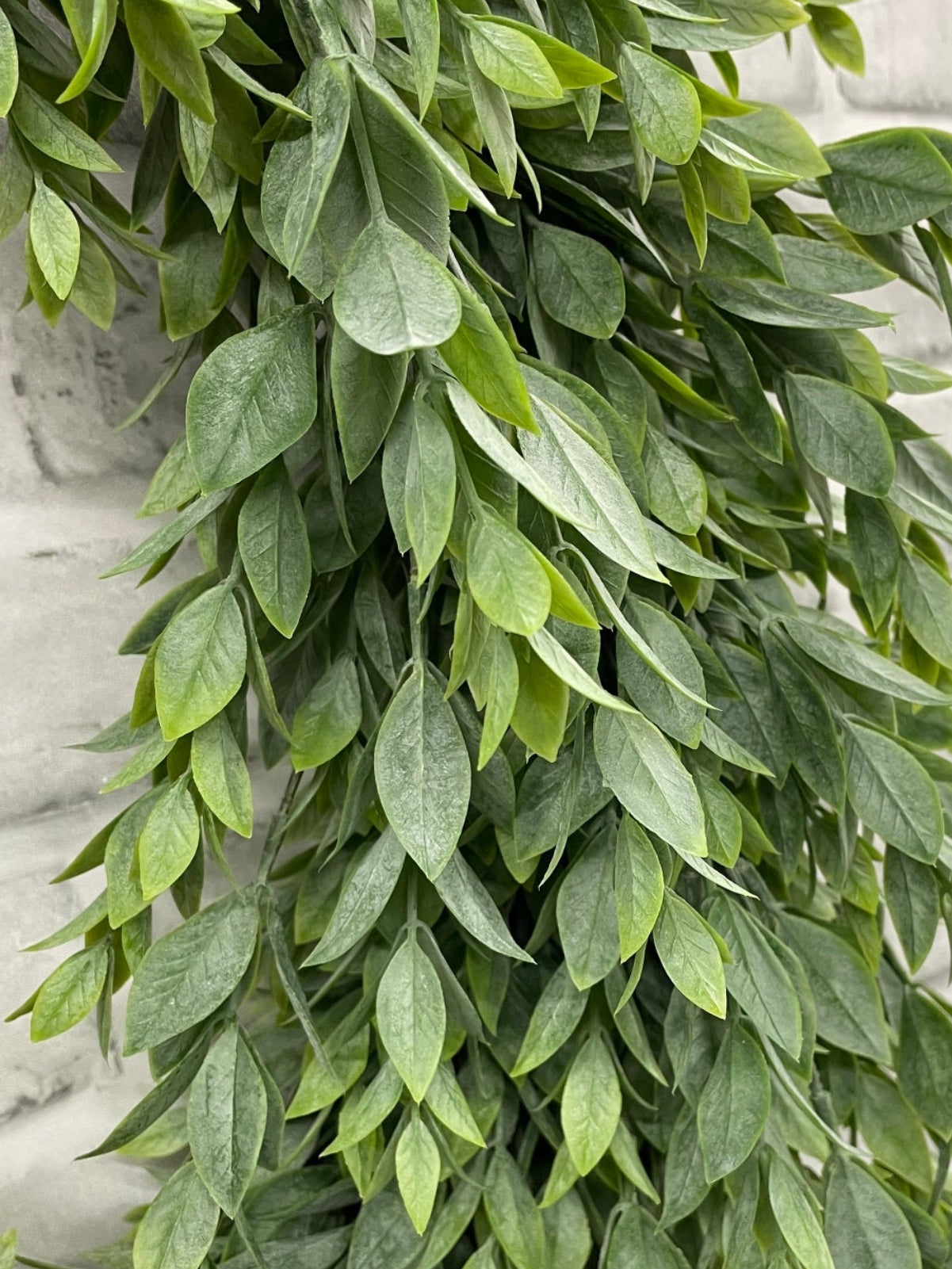 ITEM 11605 - 8.5" INSIDE, 17" OUTSIDE RUSCUS WREATH