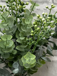 ITEM 11608 - 11" SEEDED EUCALYPTUS BUSH