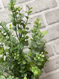 ITEM 11609 - 17" SEEDED EUCALYPTUS BUSH