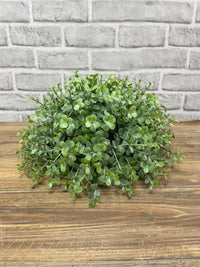 ITEM 11611 - 11" BABY TEARS HALF BALL