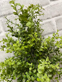 ITEM 11614 - 24" FRESH TOUCH BABY TEARS SPRAY