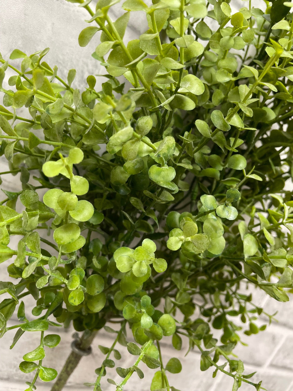 ITEM 11614 - 24" FRESH TOUCH BABY TEARS SPRAY