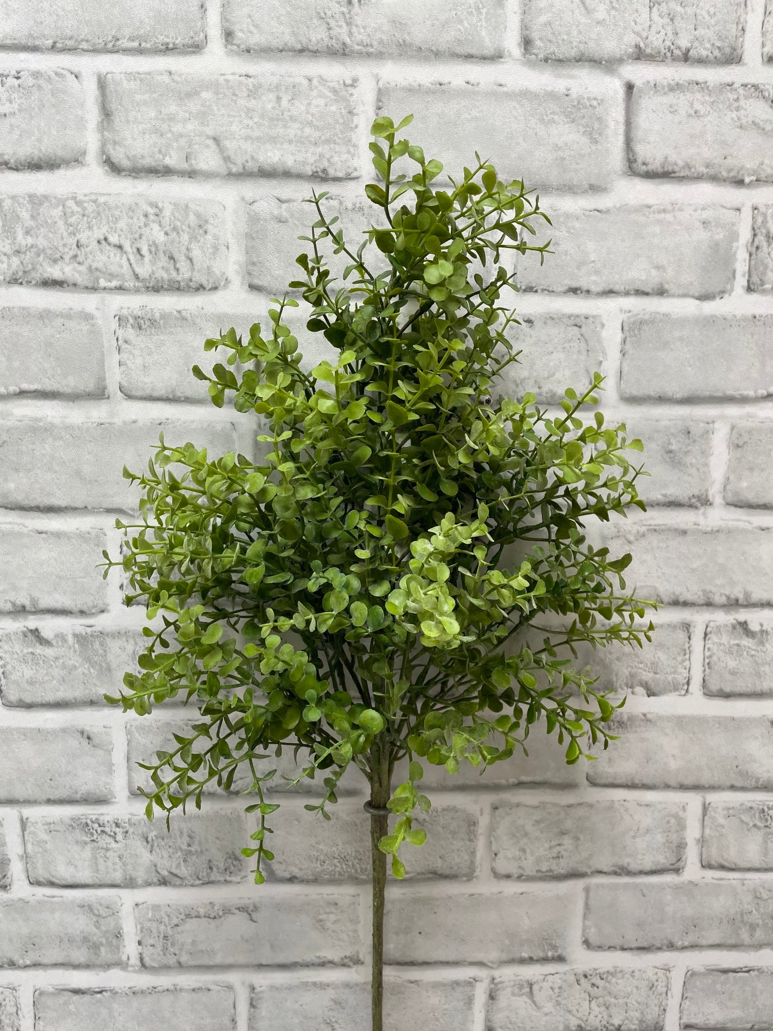 ITEM 11614 - 24" FRESH TOUCH BABY TEARS SPRAY