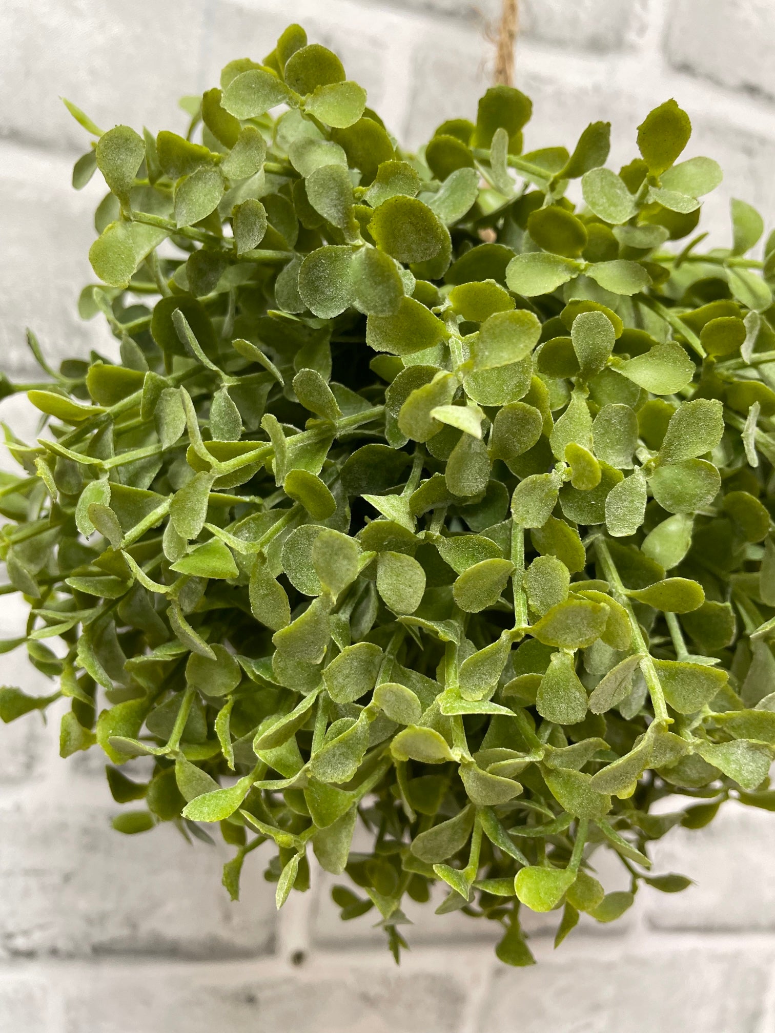 ITEM 11615 - 7" FRESH TOUCH BABY TEARS BALL