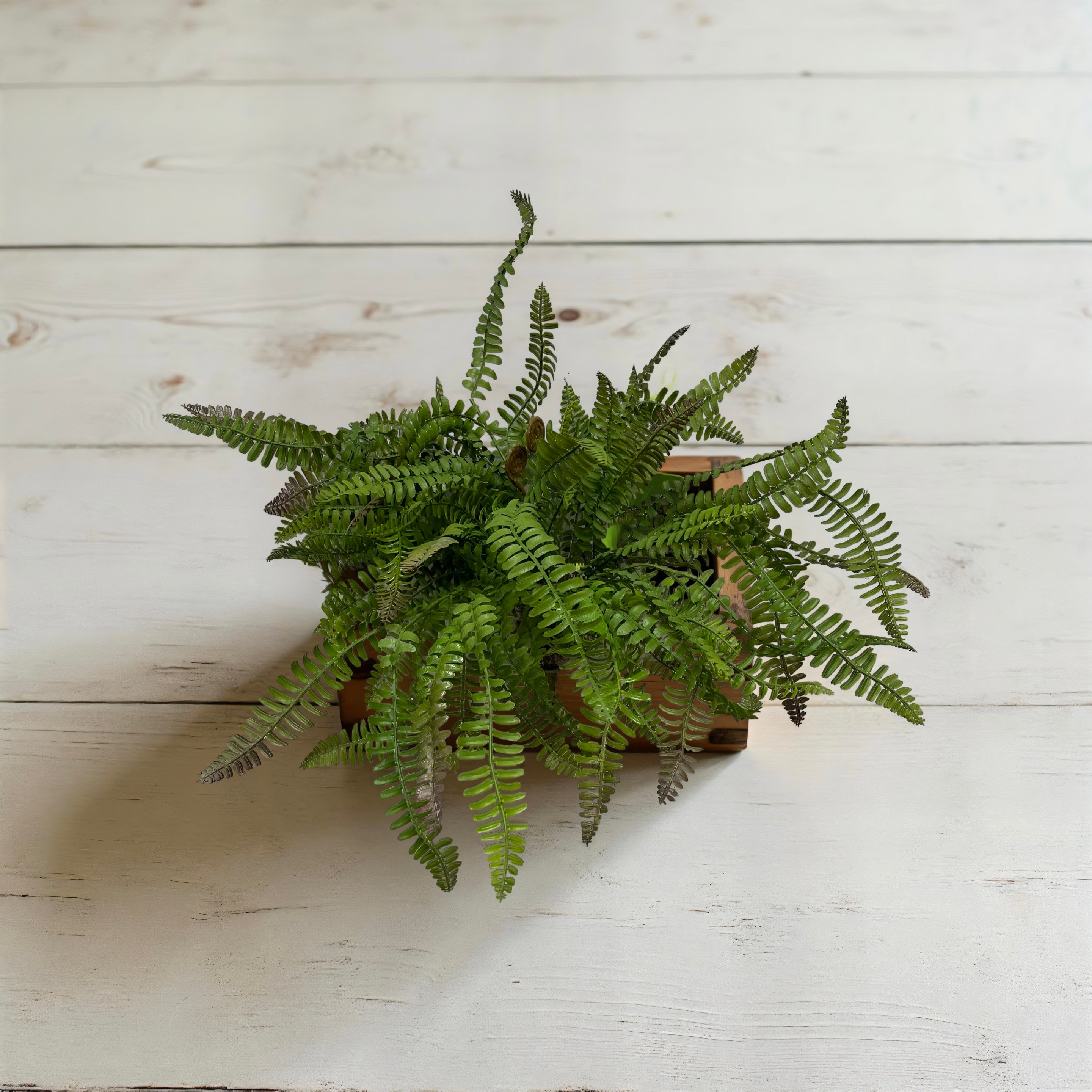 ITEM 11620 - 18" FRESH TOUCH BOSTON SWORD FERN BUSH