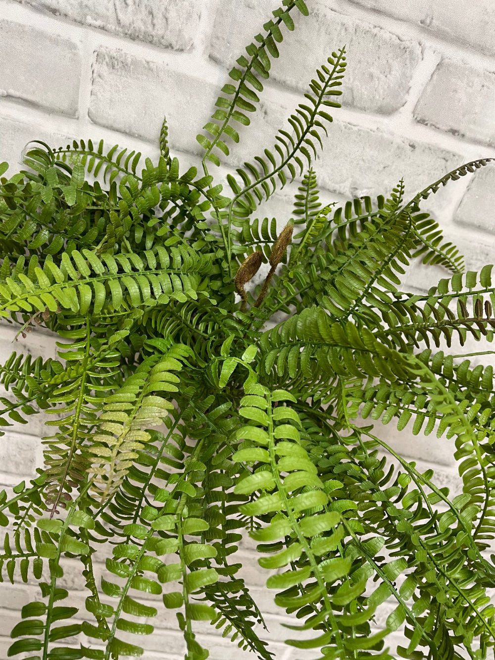 ITEM 11620 - 18" FRESH TOUCH BOSTON SWORD FERN BUSH