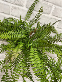 ITEM 11620 - 18" FRESH TOUCH BOSTON SWORD FERN BUSH