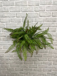 ITEM 11620 - 18" FRESH TOUCH BOSTON SWORD FERN BUSH