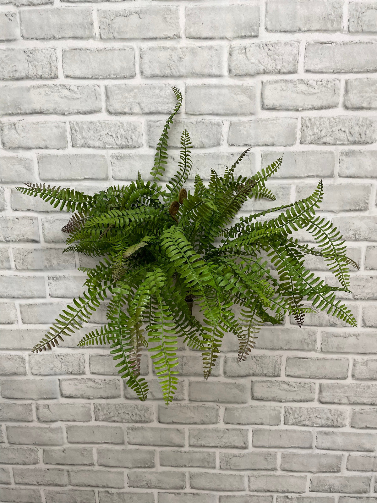 ITEM 11620 - 18" FRESH TOUCH BOSTON SWORD FERN BUSH
