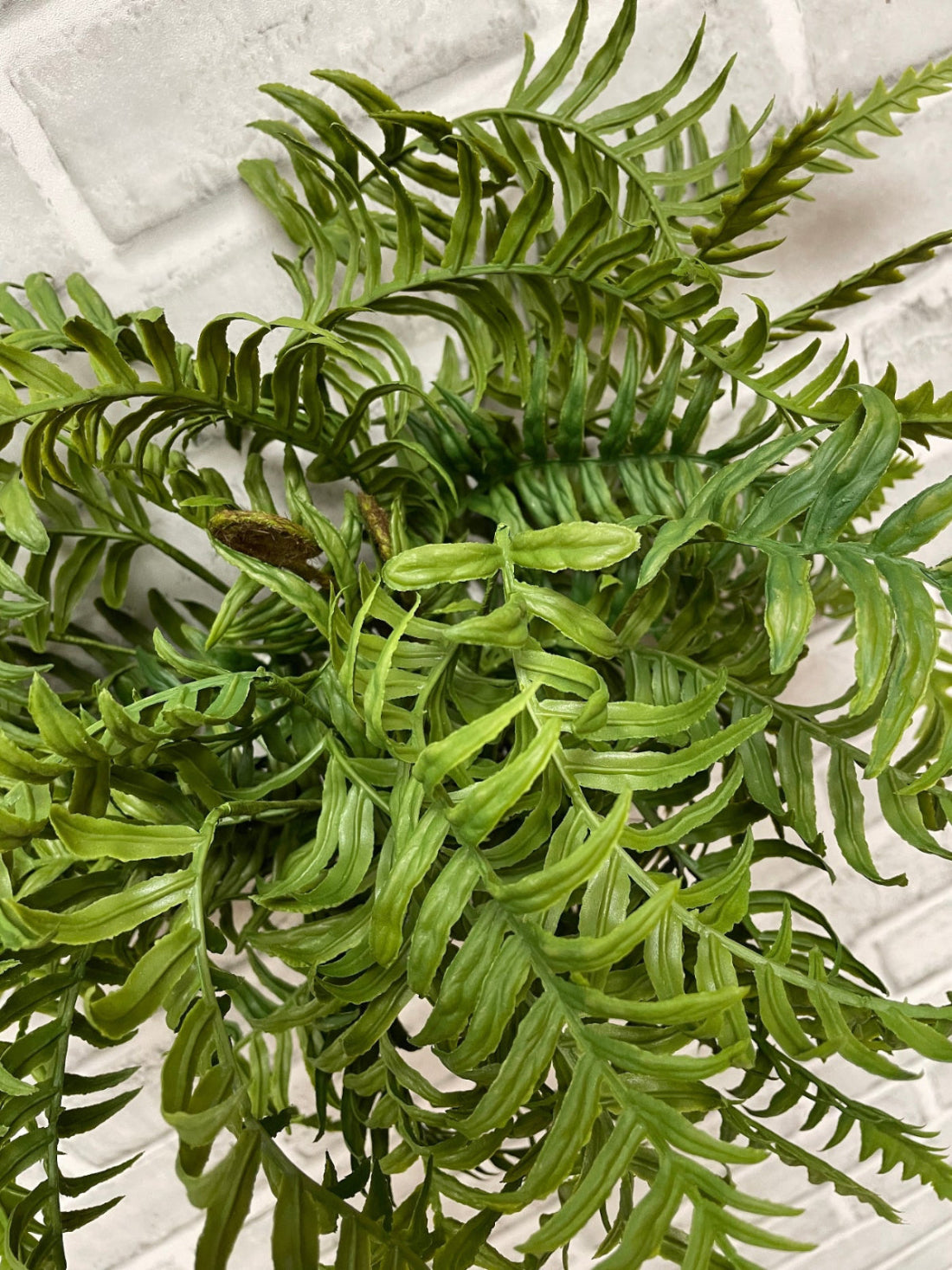 ITEM 11621 - 18" FRESH TOUCH DWARF TREE FERN BUSH