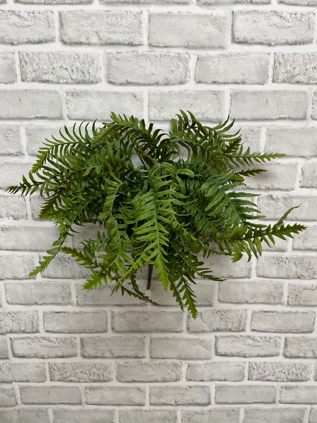 ITEM 11621 - 18" FRESH TOUCH DWARF TREE FERN BUSH