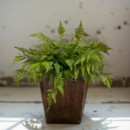 ITEM 11624 - 22" FRESH TOUCH LACY TREE FERN BUSH