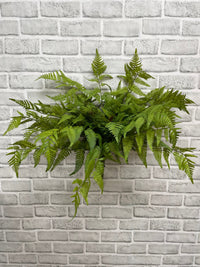 ITEM 11624 - 22" FRESH TOUCH LACY TREE FERN BUSH