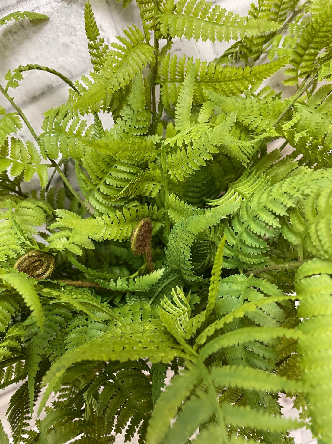 ITEM 11624 - 22" FRESH TOUCH LACY TREE FERN BUSH