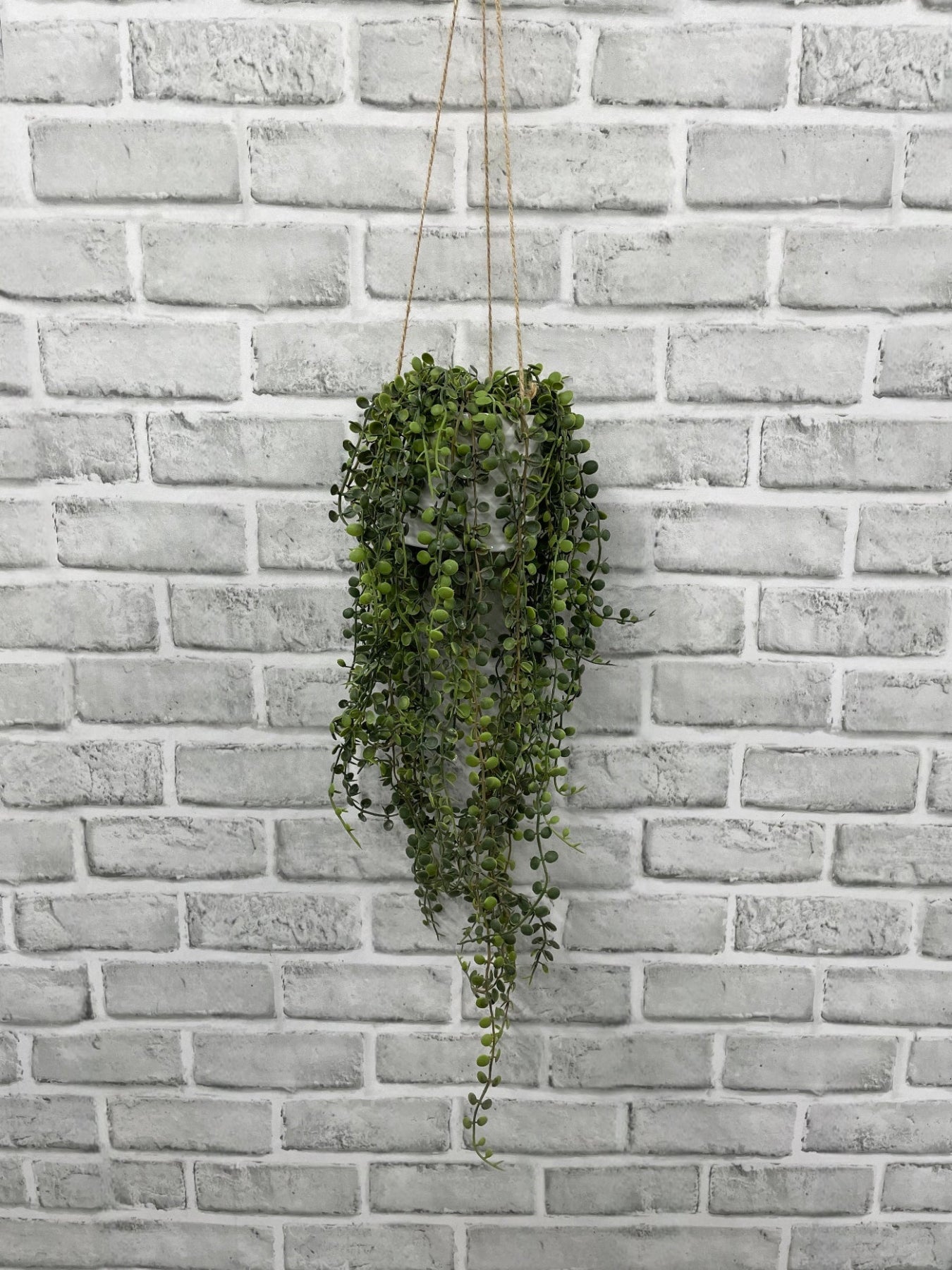 ITEM 11656 - 36" LONG FROM THE START OF THE HANGING ROPE, 20" FROM THE TOP OF THE PLANT FRESH TOUCH JADE NECKLACE IN HANGING CERAMIC POT