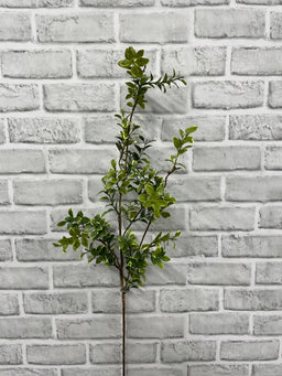 ITEM 11657 - 38" EUONYMOUS SPRAY