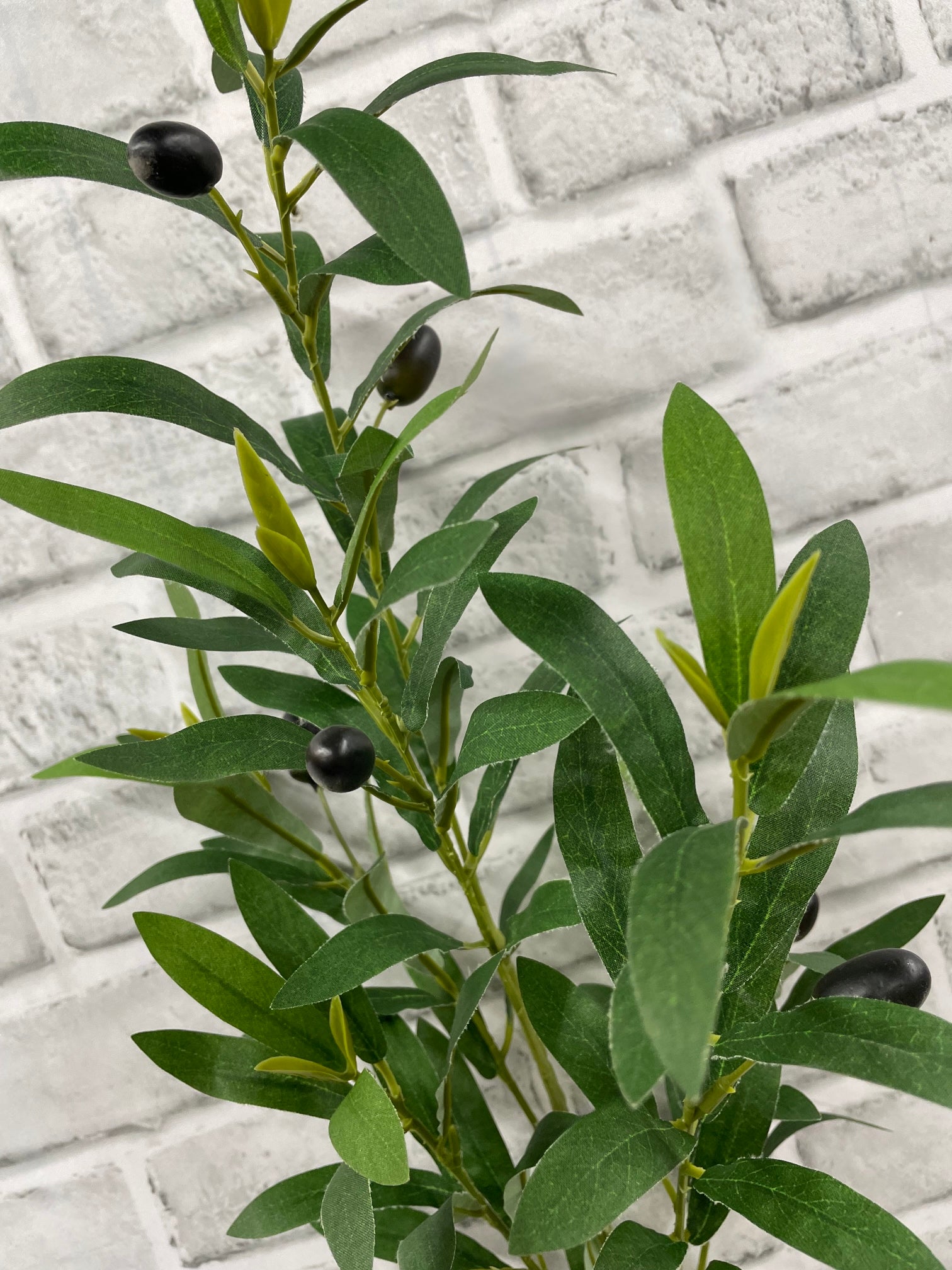 ITEM 11658 - 36"  OLIVE BRANCH