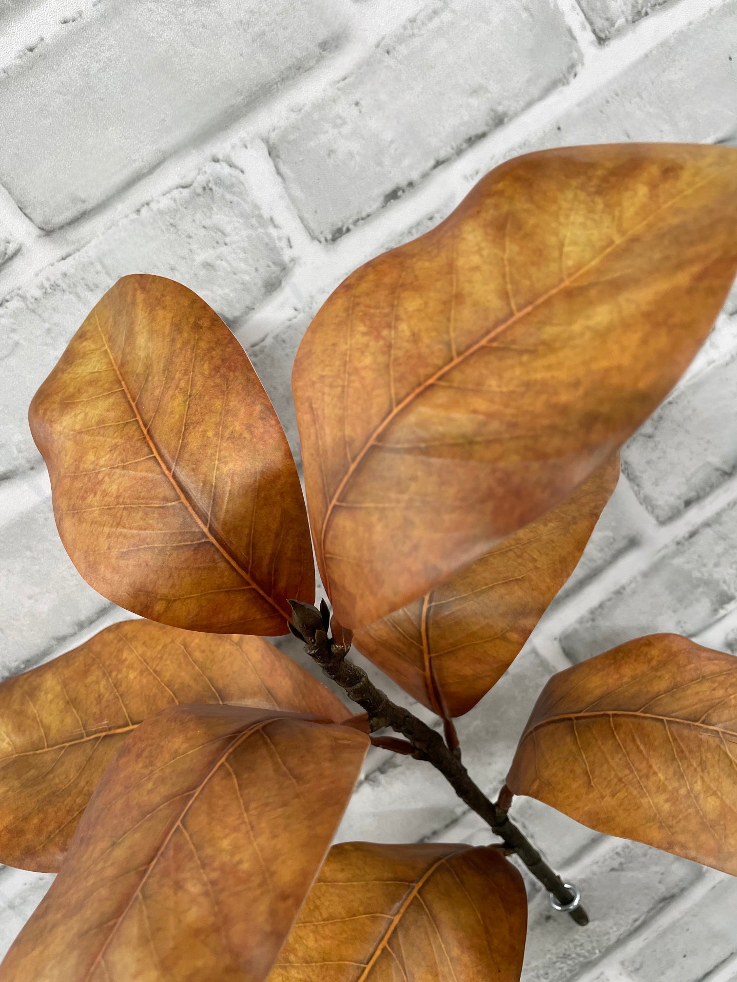 ITEM 11663 FALL - 17" FALL BROWN MAGNOLIA SPRAY WITH 7 LEAVES