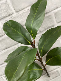 ITEM 11663 GR - 17" GREEN MAGNOLIA SPRAY WITH 7 LEAVES