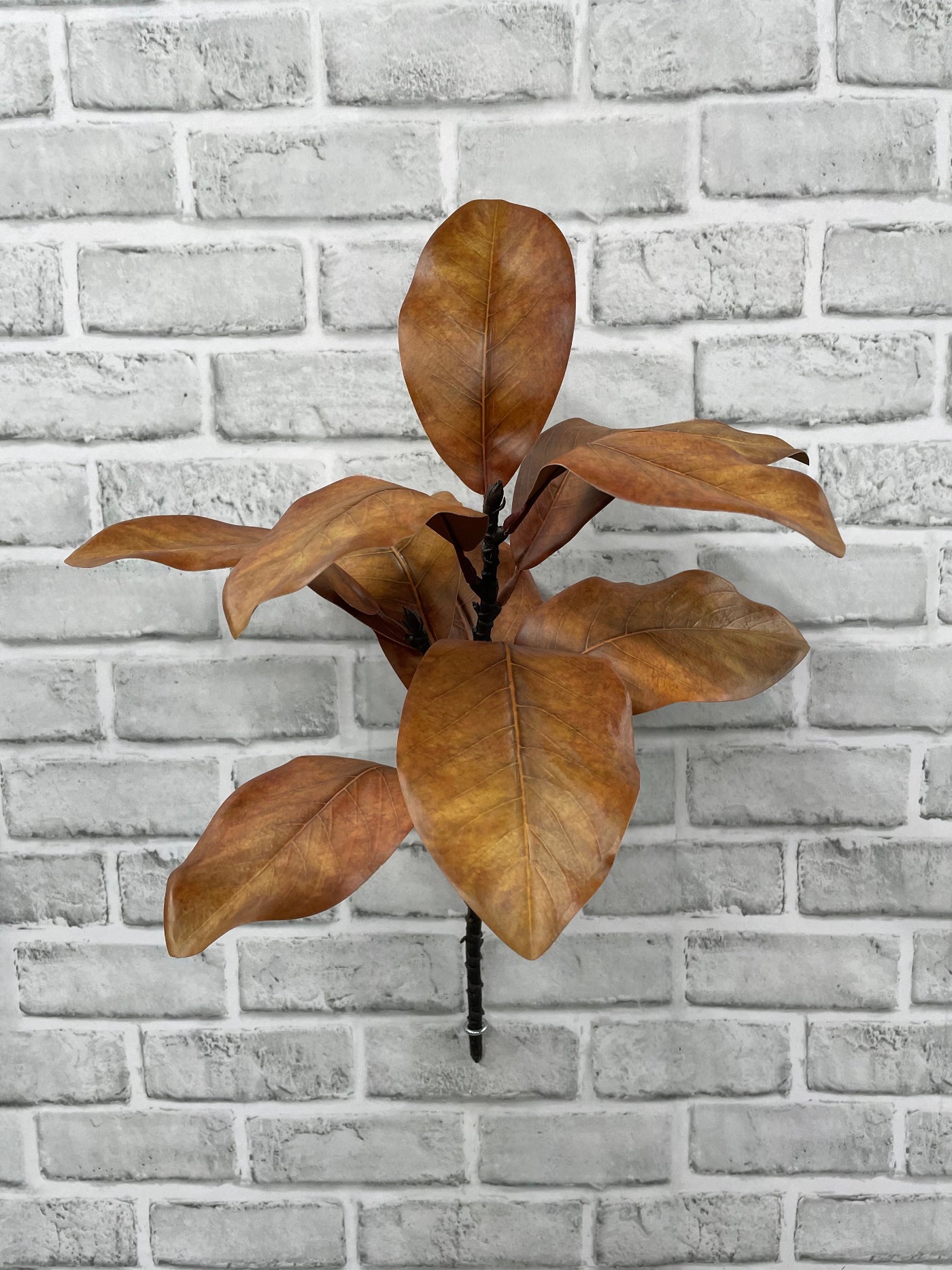 ITEM 11664 FALL - 21.5" FALL BROWN MAGNOLIA SPRAY WITH 10 LEAVES
