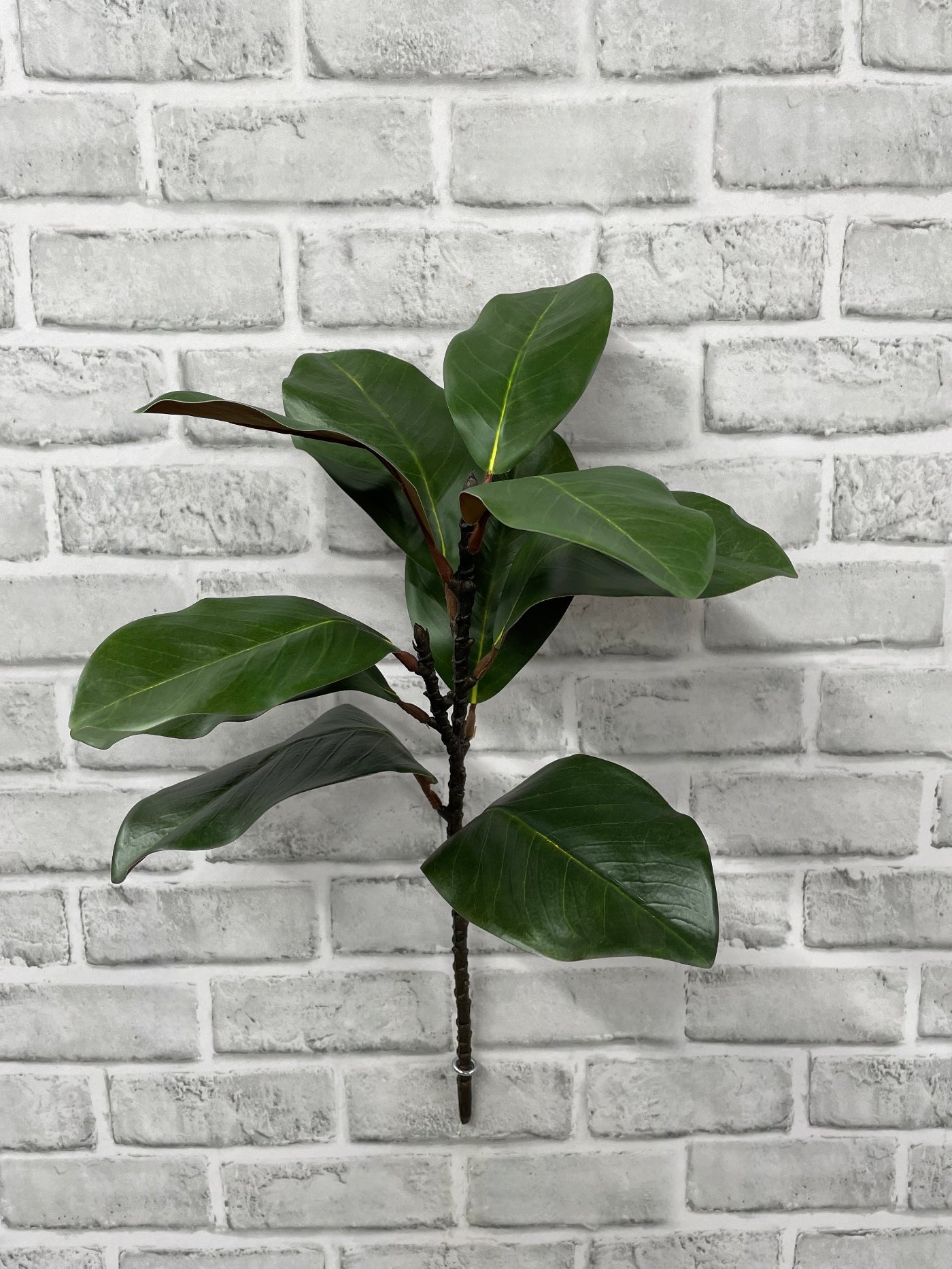 ITEM 11664 GR - 21.5" GREEN MAGNOLIA SPRAY WITH 10 LEAVES